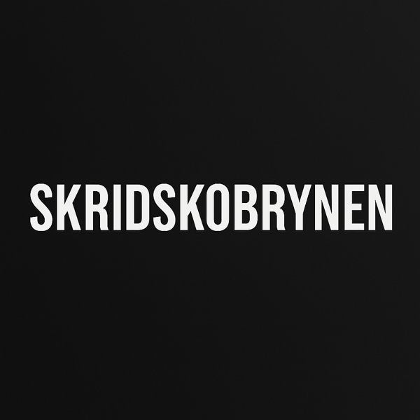 Skridskospisser