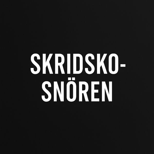 Skridskosnører